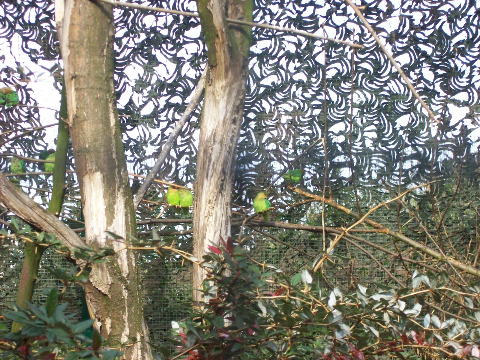 Zoom 18.10.2008-094.jpg